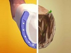 Horseshoeing Online Game - Horse Care Simulator Simulation Game