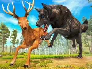 Wolf Simulator Forest Hunt 3D Online Game - Animal Sim Game