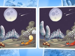 Seven Differences Observation Puzzle
