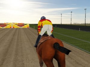Horse Rider Online Arcade Game