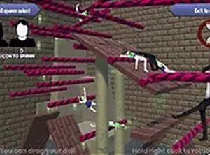 Playful Physics Puzzle
